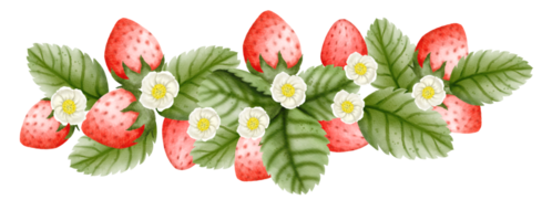 aquarelle fraise main tiré png