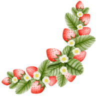 watercolor strawberry hand drawn png