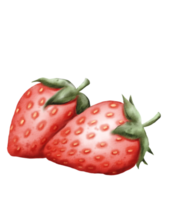 watercolor strawberry hand drawn png