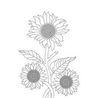 Sunflower Coloring Page And Book Hand Drawn Line Art Vector