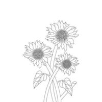 Sunflower Coloring Page And Book Hand Drawn Line Art Vector