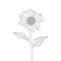 Sunflower Coloring Page And Book Hand Drawn Line Art Vector