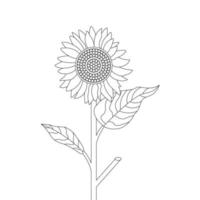 girasol colorante página y libro mano dibujado línea Arte vector