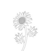 Sunflower Coloring Page And Book Hand Drawn Line Art Vector