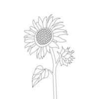 Sunflower Coloring Page And Book Hand Drawn Line Art Vector