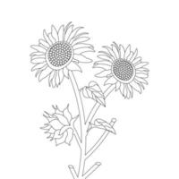 Sunflower Coloring Page And Book Hand Drawn Line Art Vector