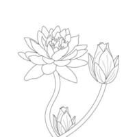 Water Lily Flower Coloring Page And Book lotus Hand Drawn Line Art Vector