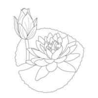 Water Lily Flower Coloring Page And Book lotus Hand Drawn Line Art Vector