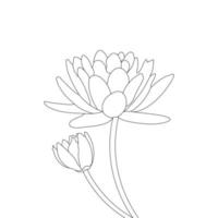 Water Lily Flower Coloring Page And Book lotus Hand Drawn Line Art Vector