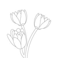 Water Lily Flower Coloring Page And Book lotus Hand Drawn Line Art Vector
