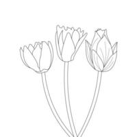 Water Lily Flower Coloring Page And Book lotus Hand Drawn Line Art Vector