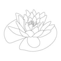 Water Lily Flower Coloring Page And Book lotus Hand Drawn Line Art Vector