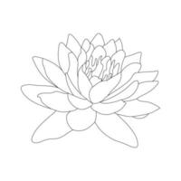 Water Lily Flower Coloring Page And Book lotus Hand Drawn Line Art Vector