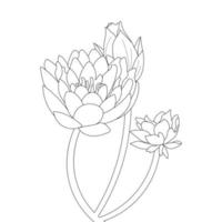 Water Lily Flower Coloring Page And Book lotus Hand Drawn Line Art Vector