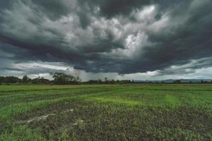 Field agriculture and rain clouds natural background photo