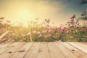 wood table and field cosmos with sunlight. vintage tone photo. photo