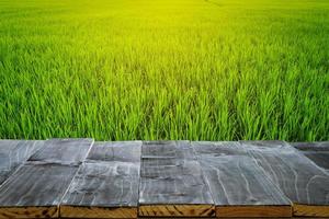 Empty wood table top for product display montage and field rice and sunlight. photo