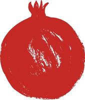 Pomegranate, brush stroke vector