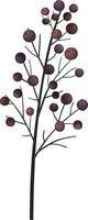 Berries on a branch vector