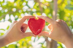 Woman hand holding red heart shape on green natural background in the garden outdoor photo