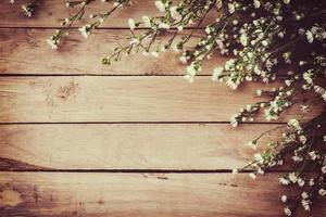 White flower on grunge wood board background with space. photo