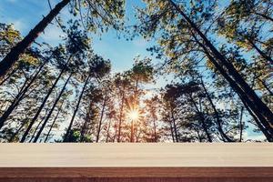 pino árbol bosque y madera mesa tablón para producto o montaje desplazar con amanecer. Clásico estilo. foto