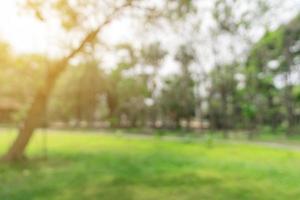 defocused bokeh and blur background of garden trees in sunlight. photo