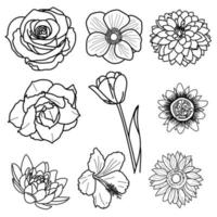 Drawing of blossom flowers. vector