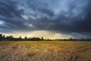 Field agriculture and rain clouds with sunrays photo