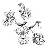 Hand drawn vector ink orchid flowers and branches, monochrome, detailed outline. Circle wreath composition. Isolated on white background. Design for wall art, wedding, print, tattoo, cover, card.