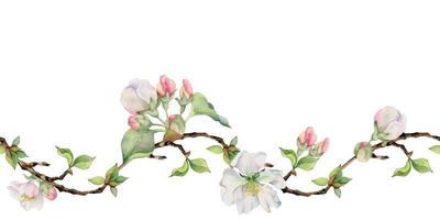 Hand drawn watercolor apple flowers, branches and leaves, white, pink and green. Seamless horizontal banner. Isolated on white background. Design for wall art, wedding, print, fabric, cover, card. vector