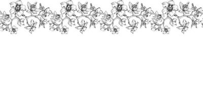 mano dibujado vector tinta orquídea flores y sucursales, monocromo, detallado describir. horizontal sin costura bandera. aislado en blanco antecedentes. diseño para pared arte, boda, imprimir, tatuaje, cubrir, tarjeta.