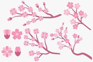 flat design cherry blossom, sakura branches and flowers collection vector