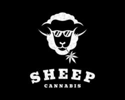 Vintage Retro Sheep Lamb Cattle Livestock Stylish Domestic Animal Hemp Cannabis Vector Logo Design