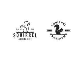 Creative Squirrel Logo. Simple squirrel logo design template. vector