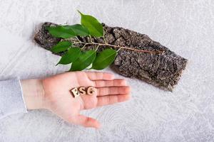 esg concepto. letras en el palmera, un rama con hojas en el ladrar de un árbol en un gris antecedentes. foto