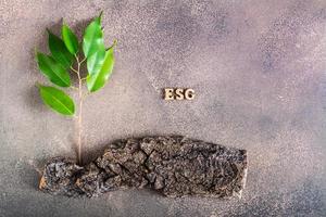 ESG environmental, social and governance concept. Sprout on the bark and letters on a brown photo