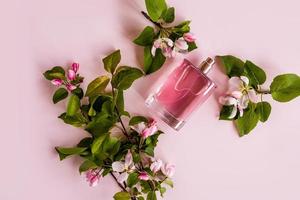 A bottle of women's perfume or spray with a spring floral fragrance on a pink background among the branches of a flowering apple tree. mock-up. photo