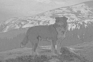 Domestic mongrel dog standing on hill engraving hand drawn sketch photo