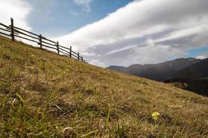 de madera cerca en herboso Pendiente paisaje foto