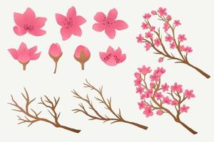 gradient sakura branches and flowers design collection vector