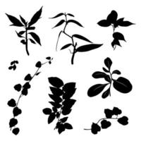 Set various types of leaves. weeds on the road. vector. Suitable for use as motif elements, templates, backgrounds, greeting cards, invitation cards and can also beautify your design. vector