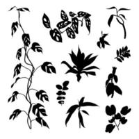 set various types of leaves. silhouette. vector. suitable for use as motif elements, templates, backgrounds, greeting cards, invitation cards and can also beautify your design elements vector