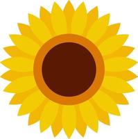 Cute sunflower flower icon in flat style vector