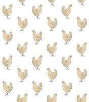 Vector seamless pattern of hand drawn chicken hen