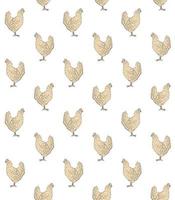 Vector seamless pattern of hand drawn chicken hen