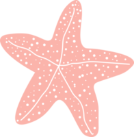 de zeester is een mooi zee schepsel dat is vormig Leuk vinden een vijfpuntig ster. png