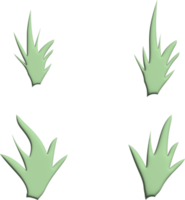 A set of green leaves with the word palm on the left. png