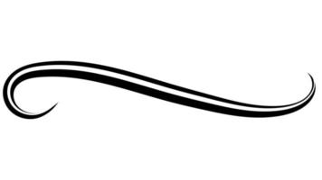 Calligraphy doodle line highlight sketch, stroke emphasis swoosh curly swish vector