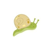 caracol con caparazón. pequeño verde insecto. bosque lento baboso animal. vector